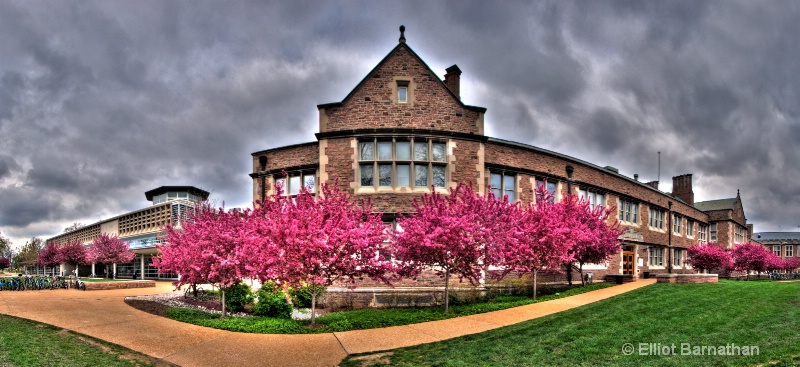 Washington University in Spring