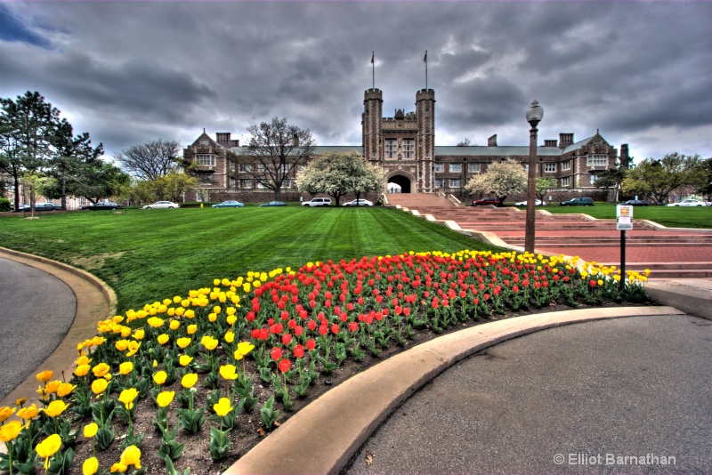 Washington University Entrance 2