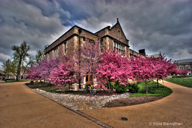 Washington University in Spring 2