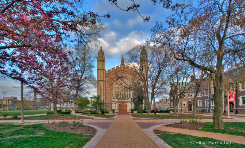 Washington University in Spring