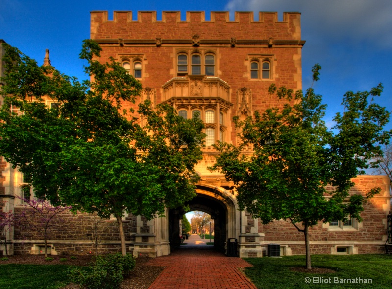 Washington University at Dusk 2