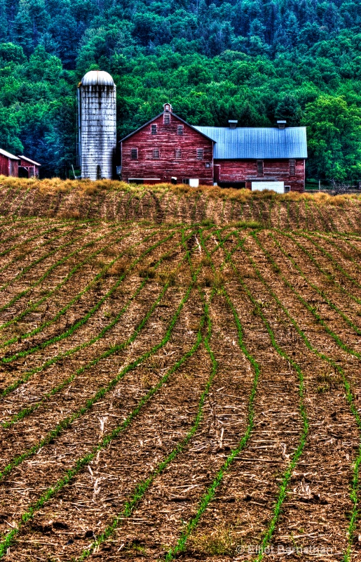 Barn 2