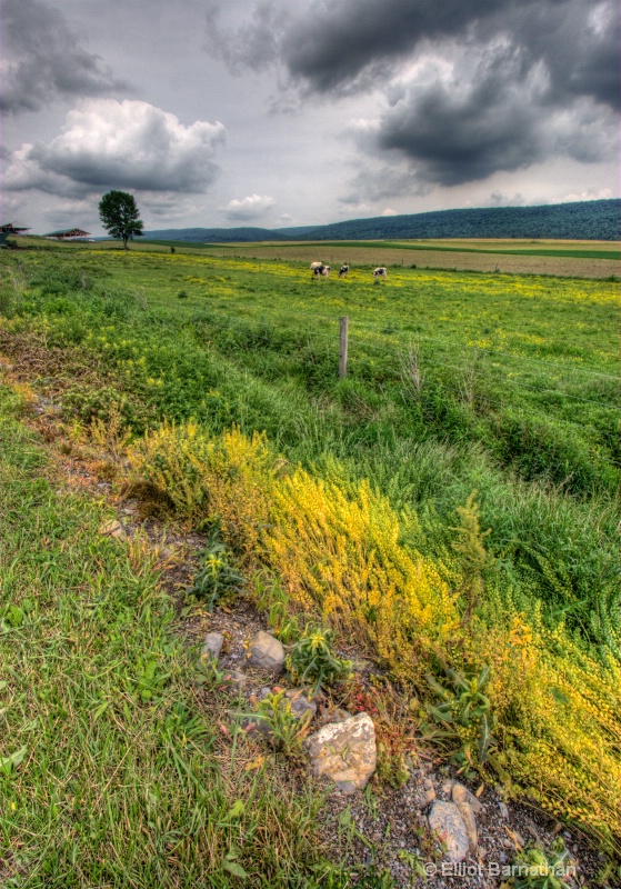 Storm on the Farm