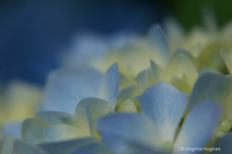 Scenes of blue.