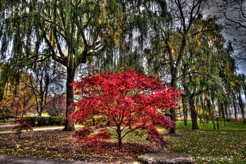 Northwestern University 6