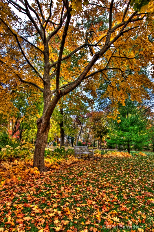 Northwestern University 3