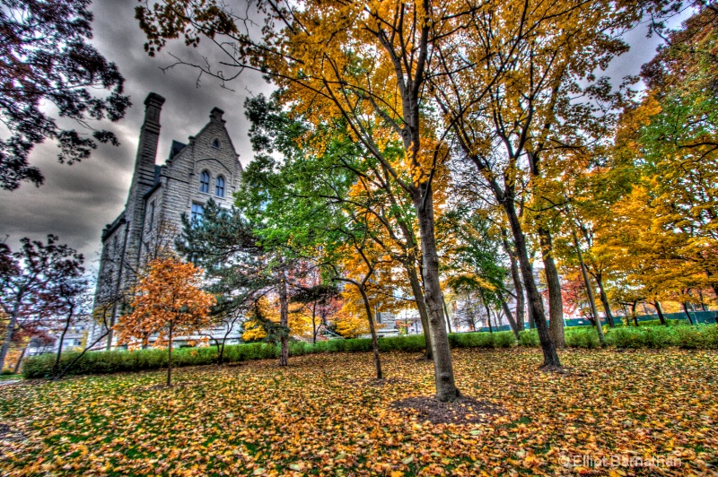 Northwestern University 1