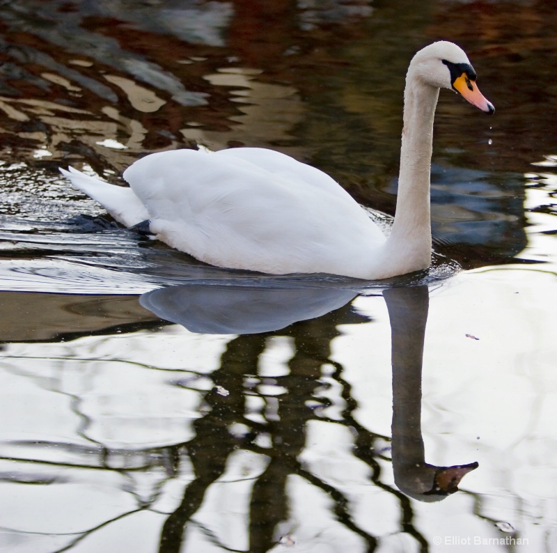 Fall Reflections15