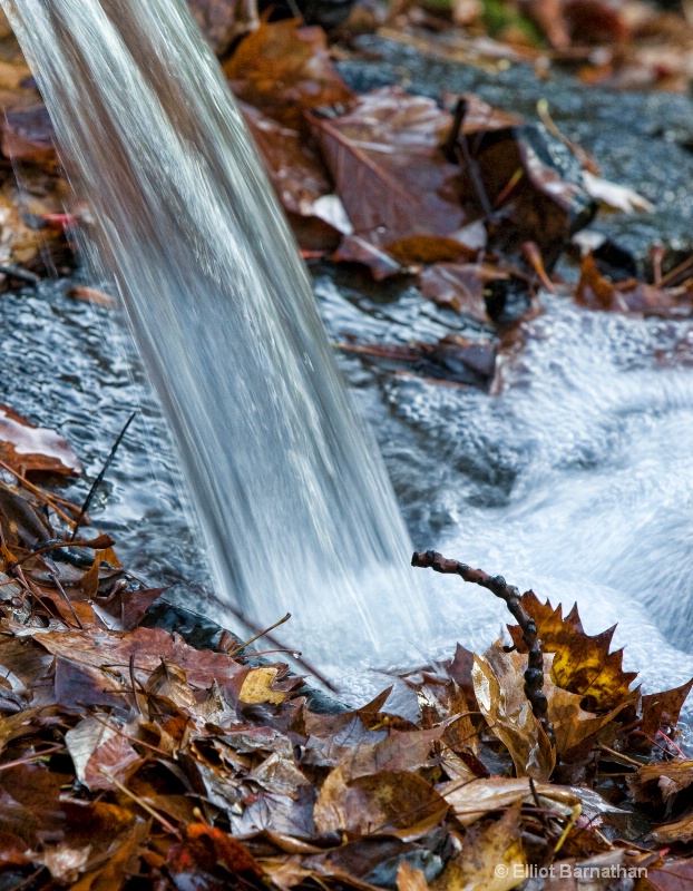 Fall Reflections 4