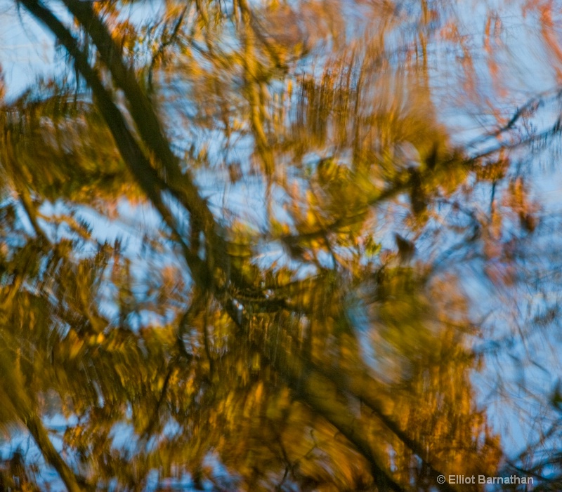 Fall Reflections 1