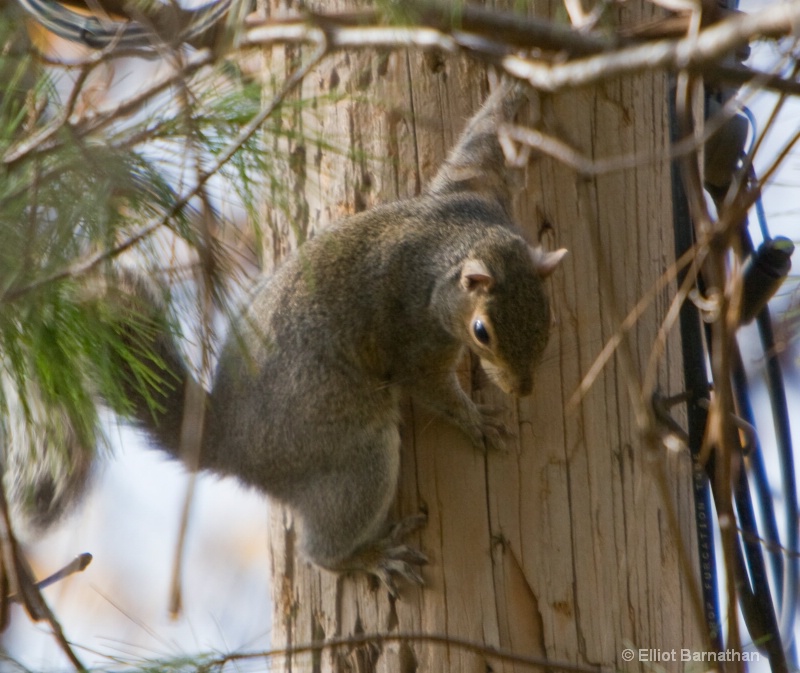 Hangin' Around