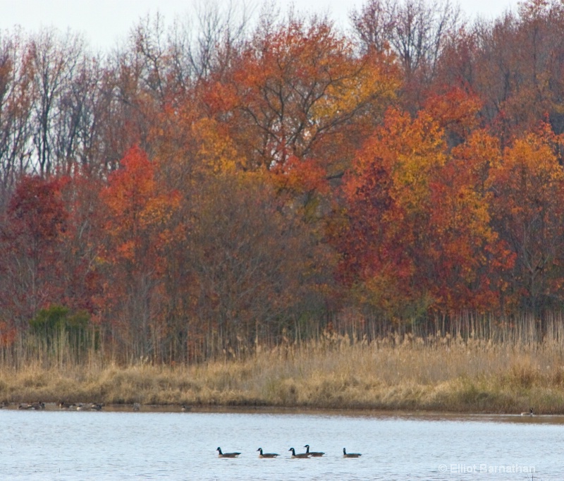 Bombay Hook 13