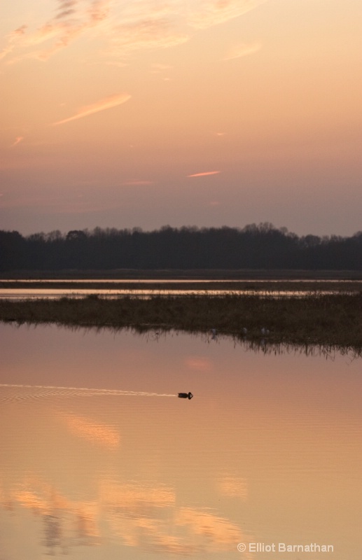 Bombay Hook 32