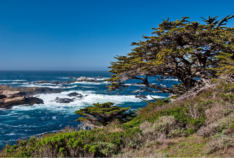 Point Lobos, CA