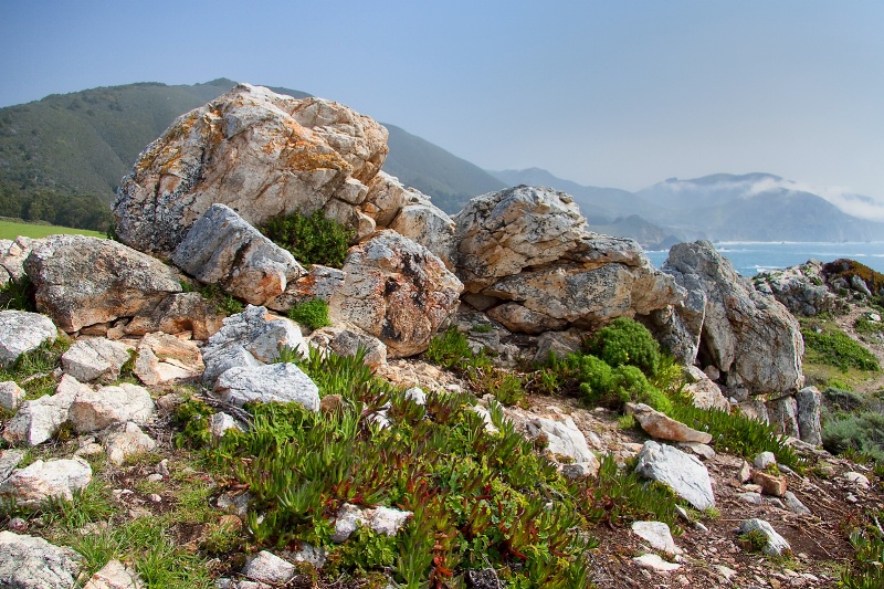 Rocks at Rocky Point