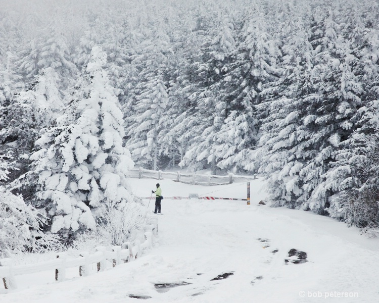 cross country skier