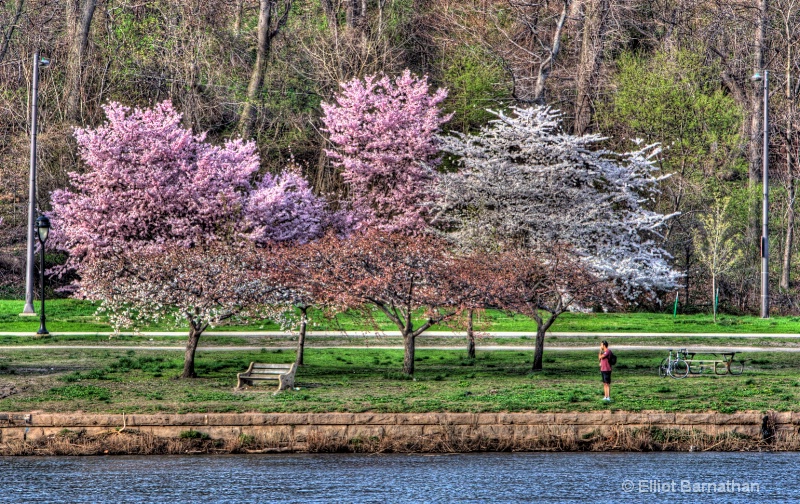 Philadelphia in Spring 6