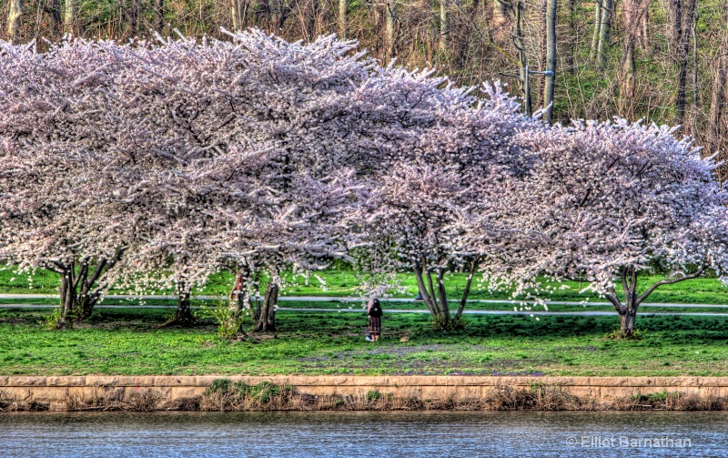 Philadelphia in Spring 7