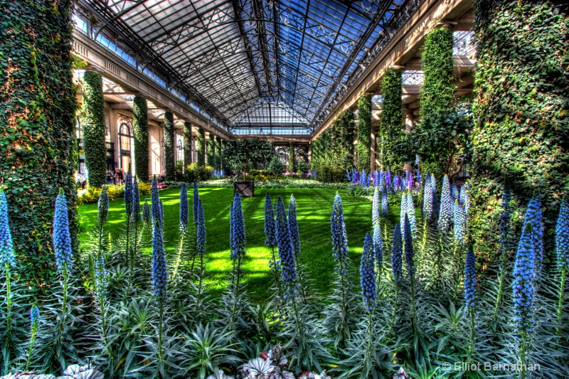 Longwood Gardens 23