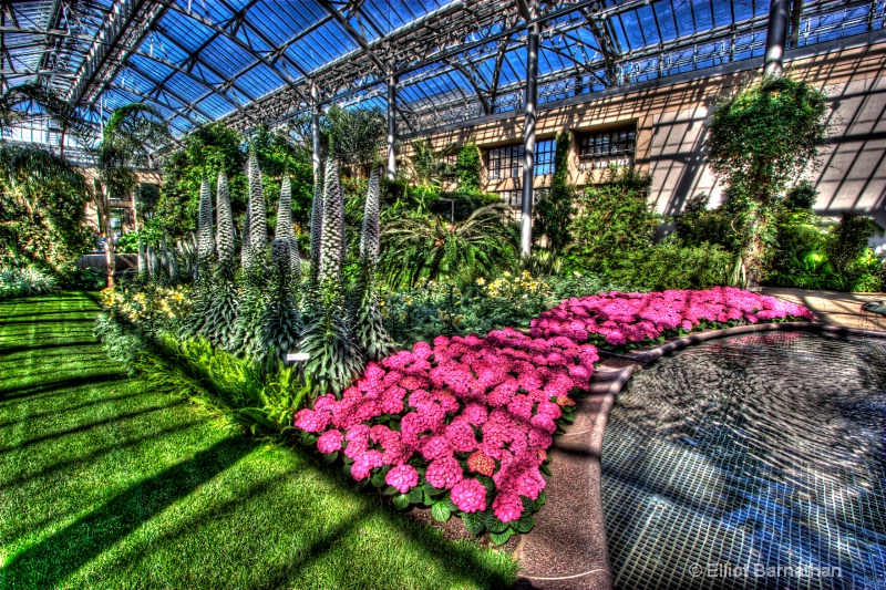 Longwood Gardens 20