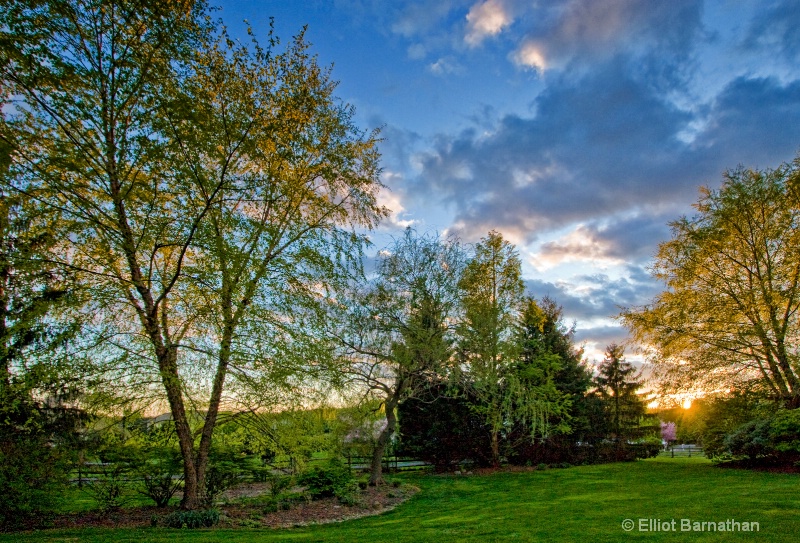 Backyard in Spring 4