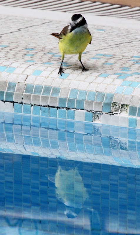 Rio de Janeiro 1