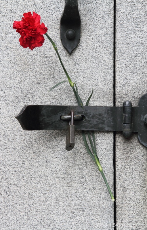 Recoleta Cemetery 16