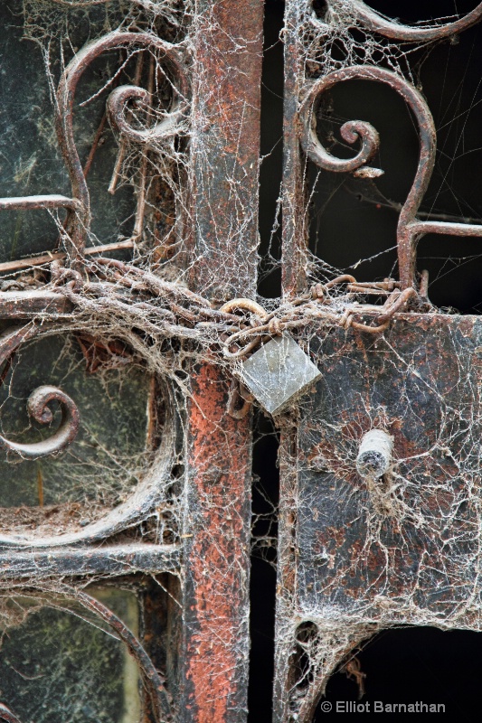 Recoleta Cemetery 11