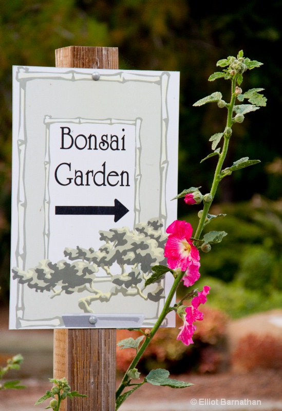 Bonsai Garden