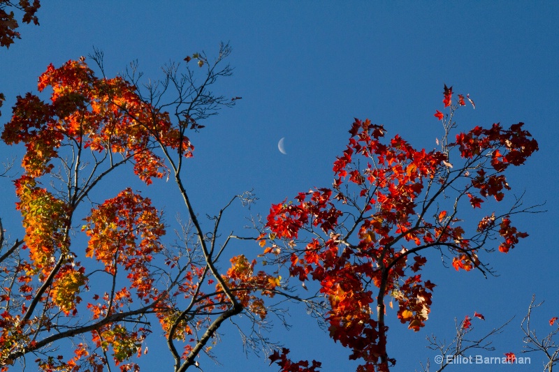 Autumn Colors 4