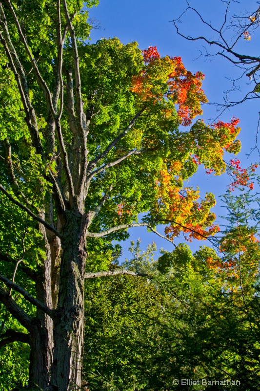 Autumn Colors 2