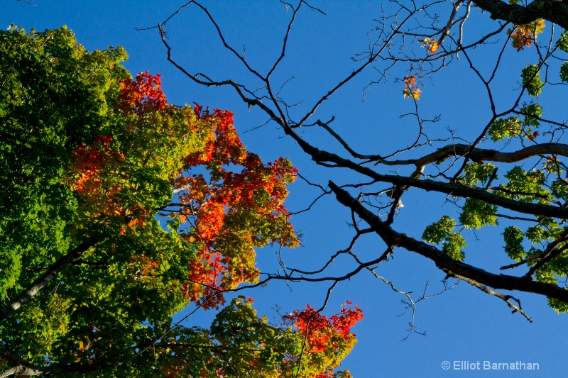 Autumn Colors 1