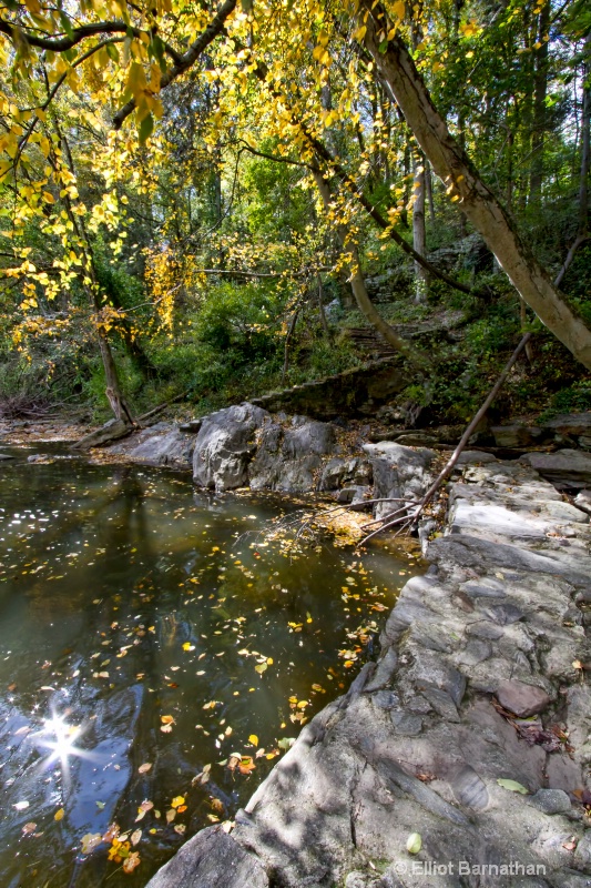 The Wissahickon 11