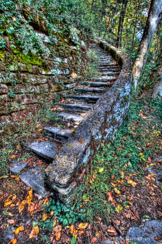 Staircase to The Wissahickon 