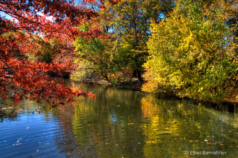 Fall in Philly 33