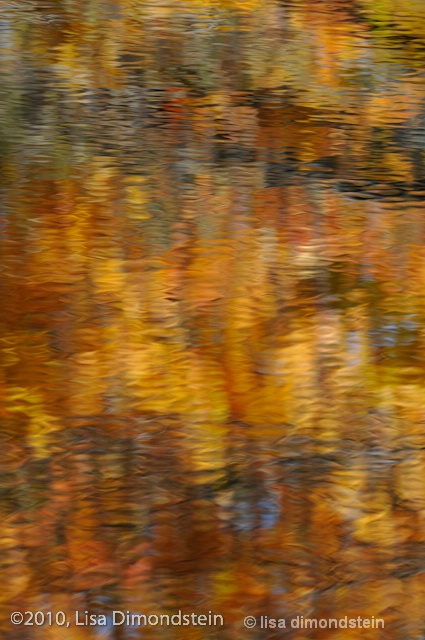 Reflection of fall, Vermont @Lisa Dimondstein