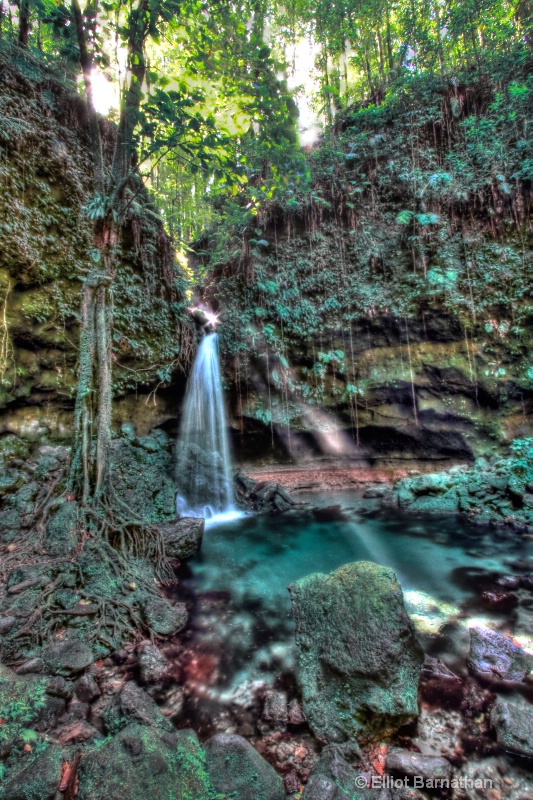 Dominica: Emerald Pool 3