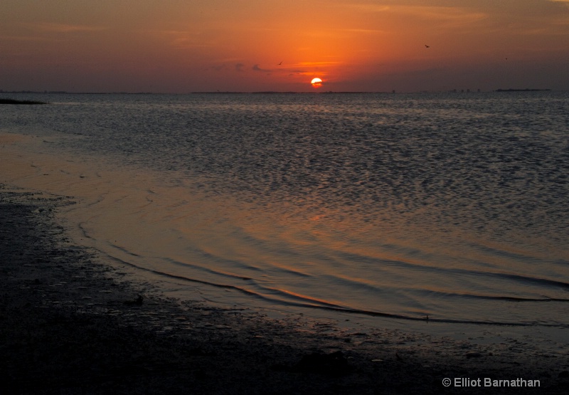 Galveston Sunset 7