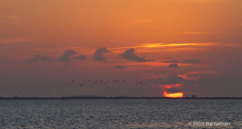 Galveston Sunset 9