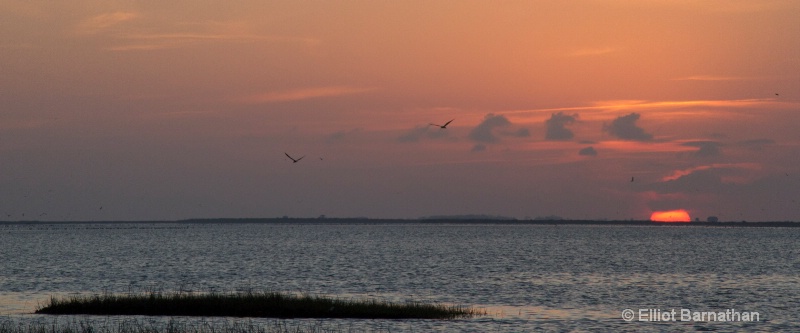 Galveston Sunset 11