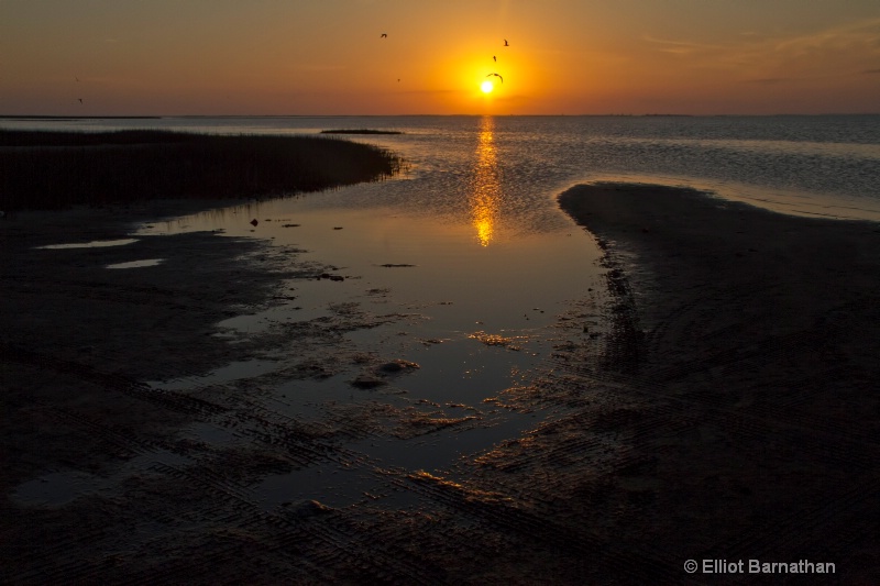 Galveston Sunset