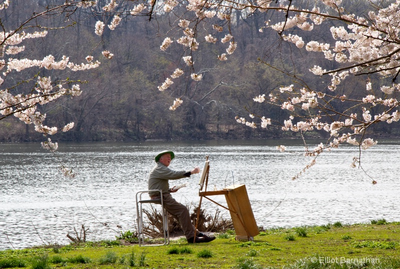 Painting the Cherry Blossoms