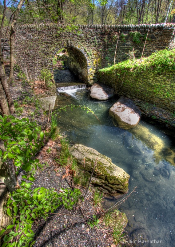 Wissahickon in Spring 36