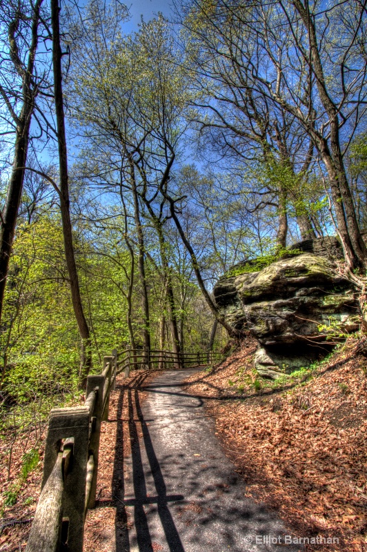 Wissahickon in Spring 35