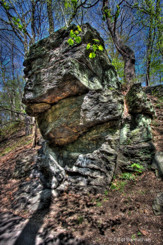 Wissahickon in Spring 34