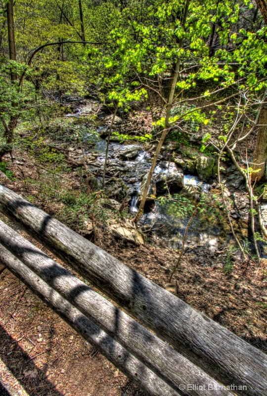 Wissahickon in Spring 33