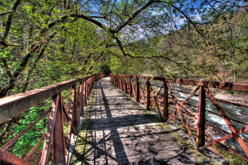 Wissahickon in Spring 32