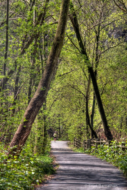 Wissahickon in Spring 31