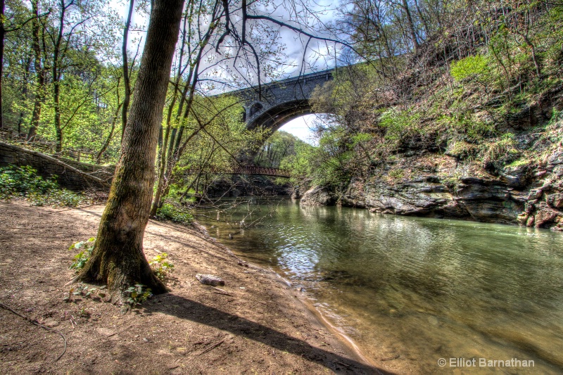 Wissahickon in Spring 30