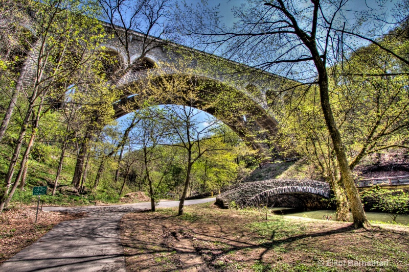 Wissahickon in Spring 29